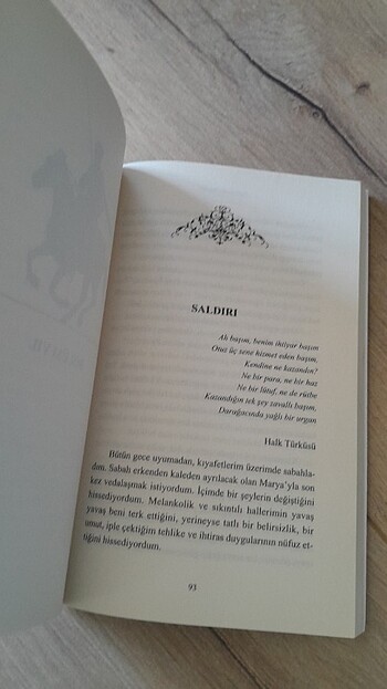  Beden Aleksandr puskin yuzbasinin kizi kitap
