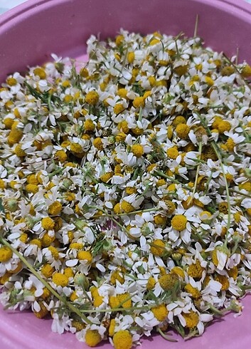 Papatya yağlı zeytinyağı sabunu #papatya #zeytinyağı #sabun - Görsel 9