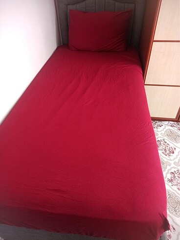 Beden çeşitli Renk 2 Adet Tek Kişilik Penye Lastikli Çarşaf