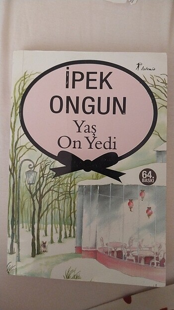 Yaş on yedi