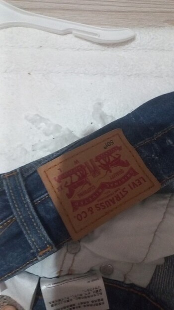 Levis Lewis kot