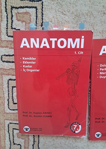 Arıncı Anatomi 1. ve 2. Cilt Seti