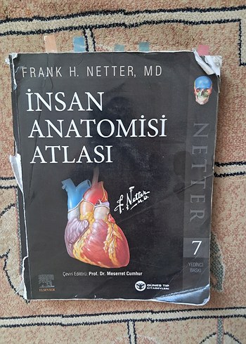 Netter Anatomi Atlası - İnsan Anatomisi Atlası - Frank H. Netter