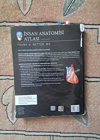 Netter Anatomi Atlası - İnsan Anatomisi Atlası - Frank H. Netter