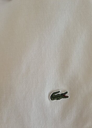 LACOSTE COTON KUMAŞ