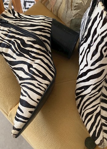 Tay derisi Zebra desenli Bot - Görsel 4