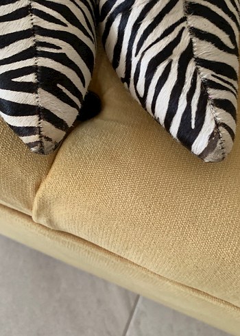 Tay derisi Zebra desenli Bot - Görsel 8