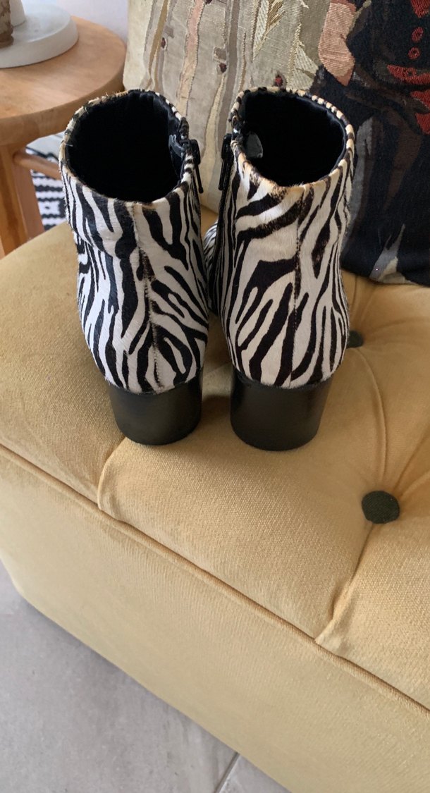 Tay derisi Zebra desenli Bot - Görsel 3