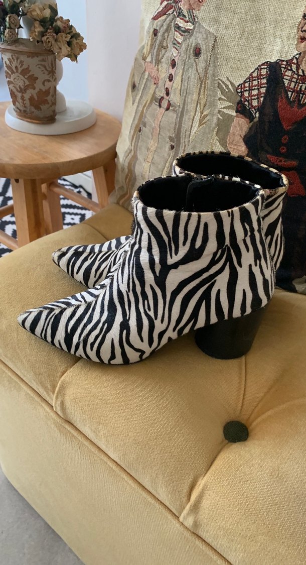 Tay derisi Zebra desenli Bot - Görsel 2