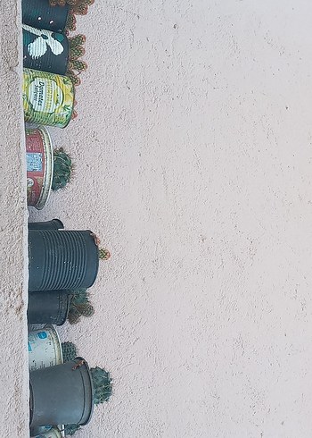 Khaki Renkli Çocuk Rafı - Görsel 4