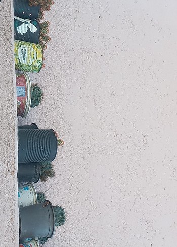 Khaki Renkli Çocuk Rafı - Görsel 2