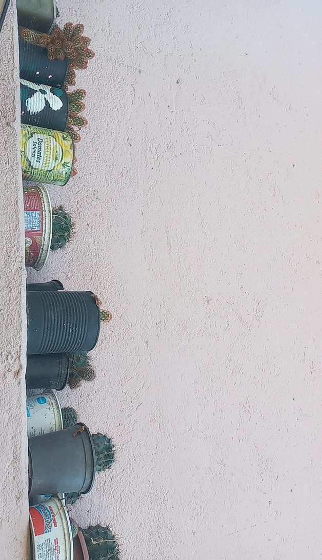 Khaki Renkli Çocuk Rafı - Görsel 3