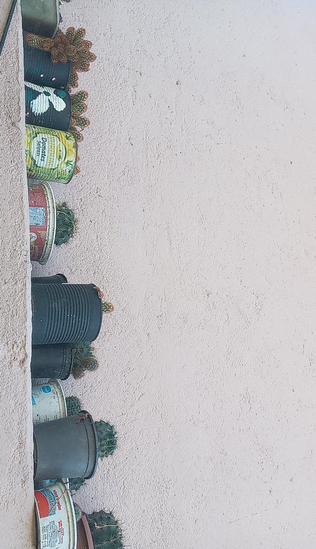 Khaki Renkli Çocuk Rafı - Görsel 2