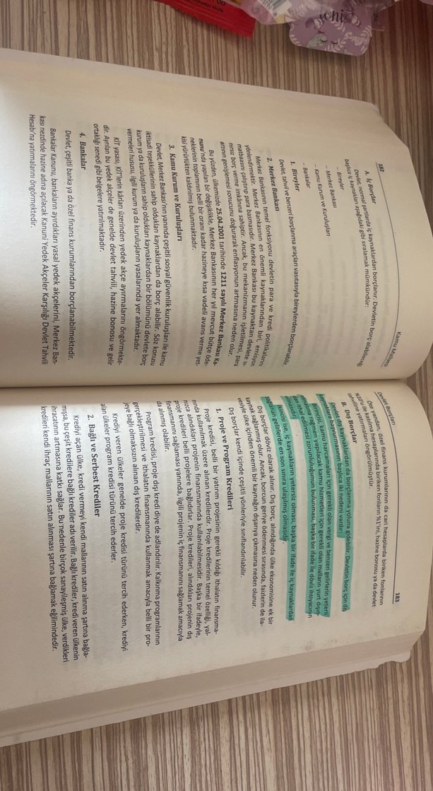 Kamu Maliyesi - Prof. Dr. Osman Pehlivan - Görsel 3