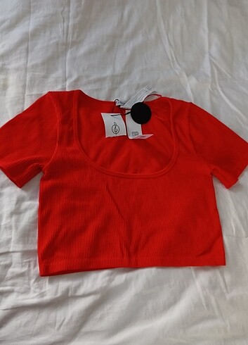 Stradivarius crop