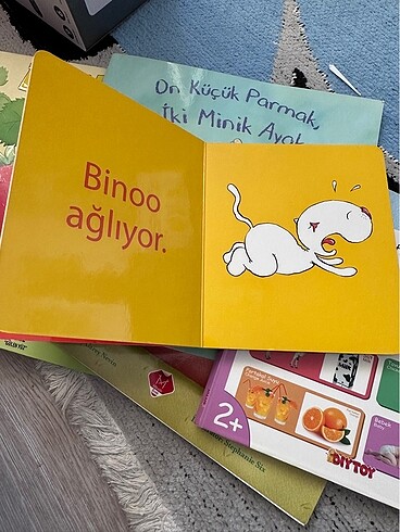  Beden Renk Eğitici kitaplar