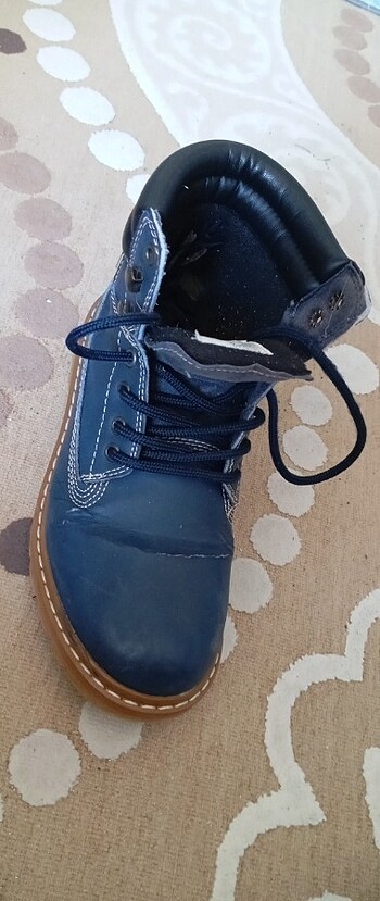Erkek bot 37 numaradır.
