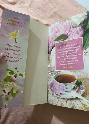 Manolya Kokulu Hikayeler - Yakamoz - Görsel 3