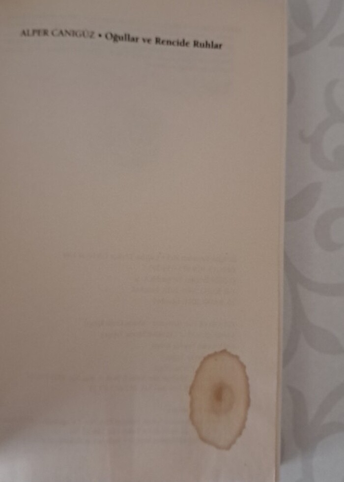 Oğullar ve Rencide Ruhlar - Alper Canıgüz - Görsel 3