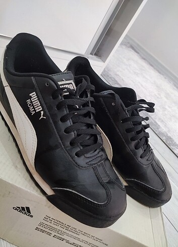 Puma Puma roma