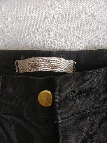 Bee Beauty KOT ETEK#JEAN M