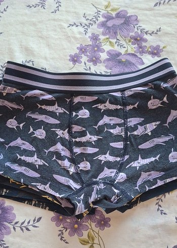 4 Yaş Beden Erkek Çocuk Çok Renkli Desenli Boxer 4 tane
