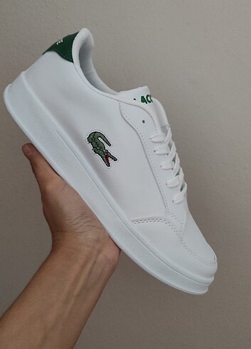 Lacoste Erkek Lacoste