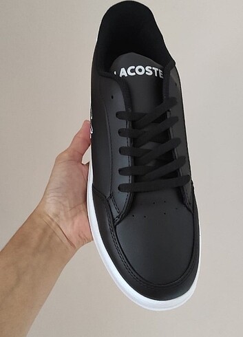 40 Beden Erkek Lacoste