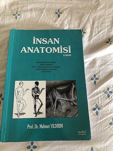 İnsan anatomisi
