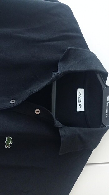 Lacoste Lacoste t-shirt 