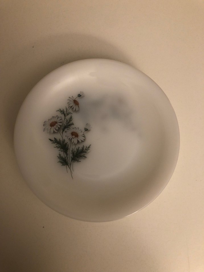 Arcopal France Papatya Tabak - Görsel 2