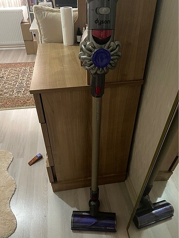 Dyson v8 animal