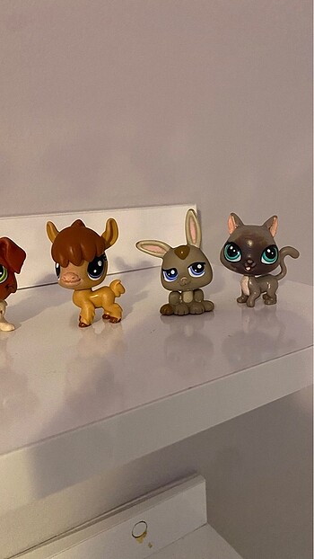 Lps miniş