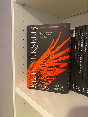  Beden Kızıl yükseliş serisi pıerce brown