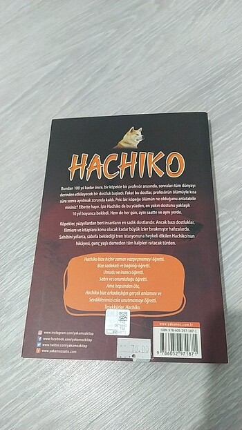  Beden Hachiko 