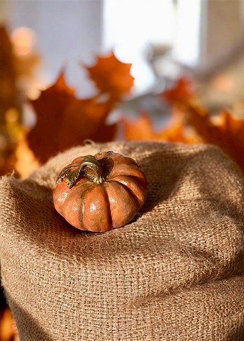 Kahverengi Kabak Figürü - Görsel 2