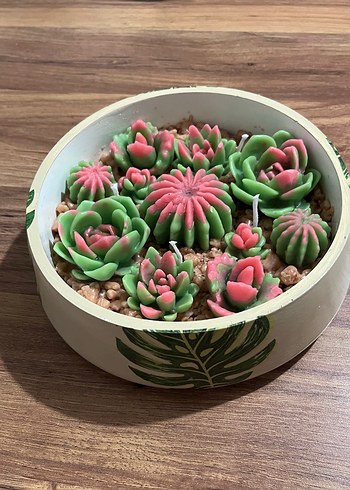 Pembe ve Yeşil Sukulent Mum Seti - Görsel 2