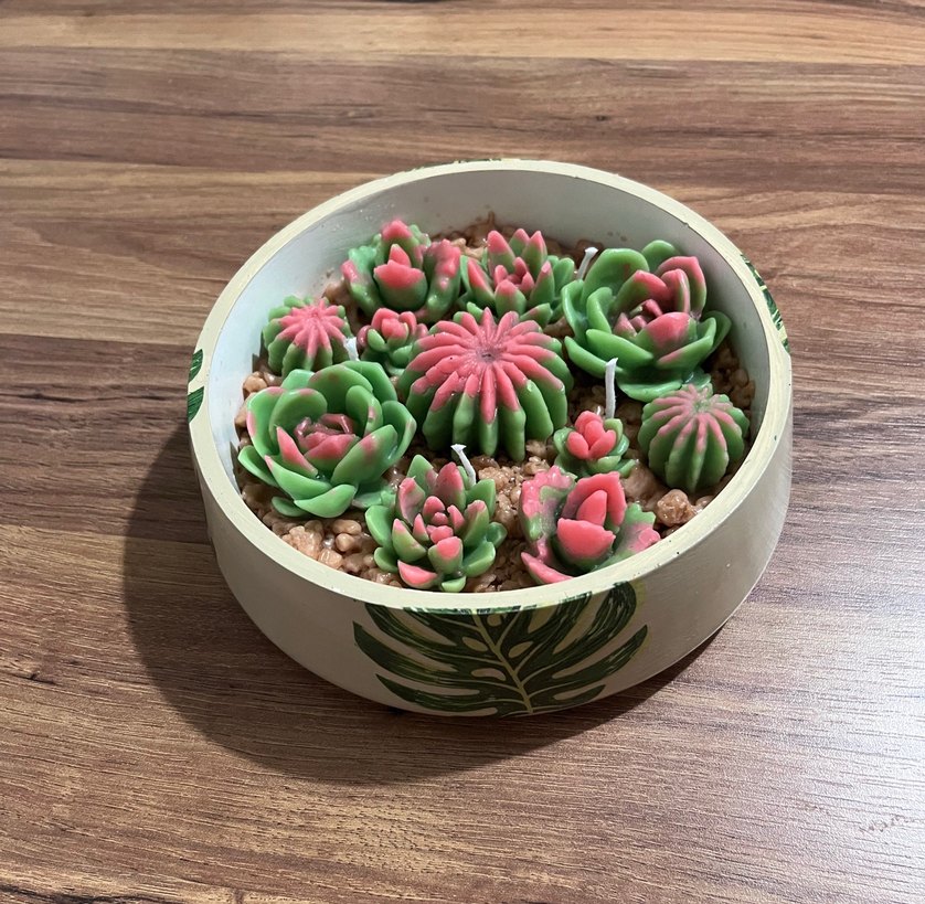 Pembe ve Yeşil Sukulent Mum Seti - Görsel 2