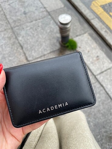 Academia kartlık