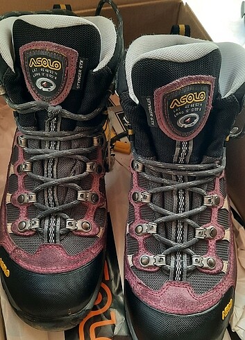 Salomon salomon bot