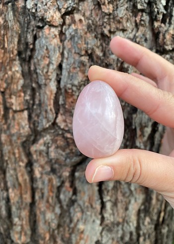 Pastel Pembe Kuvars Dekoratif Doğal Taş Yumurta - Görsel 3