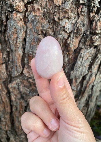 Pastel Pembe Kuvars Dekoratif Doğal Taş Yumurta - Görsel 2