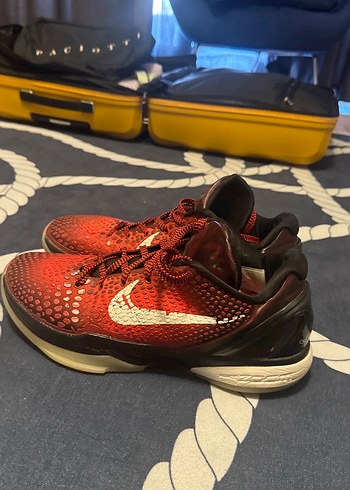 Kobe 6 all star 46