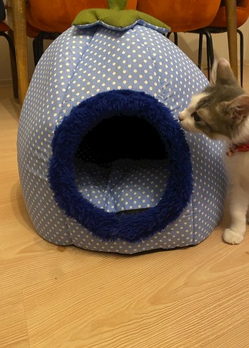 Mavi Puantiyeli Kedi ve yavru köpek Yatağı - Görsel 2