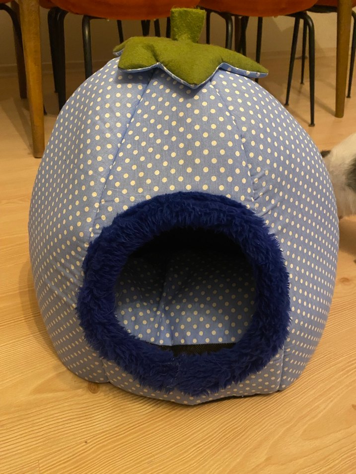 Mavi Puantiyeli Kedi ve yavru köpek Yatağı - Görsel 3