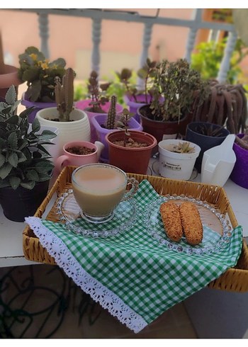 sunum peçetesi pötikare desen - Görsel 2