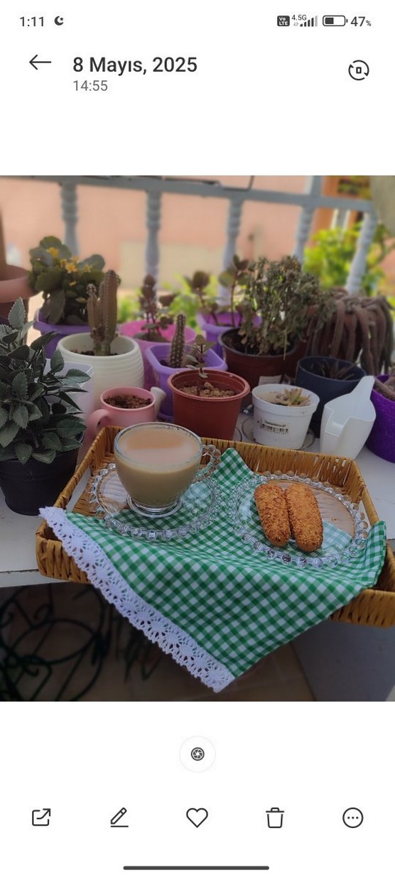 sunum peçetesi pötikare desen - Görsel 2