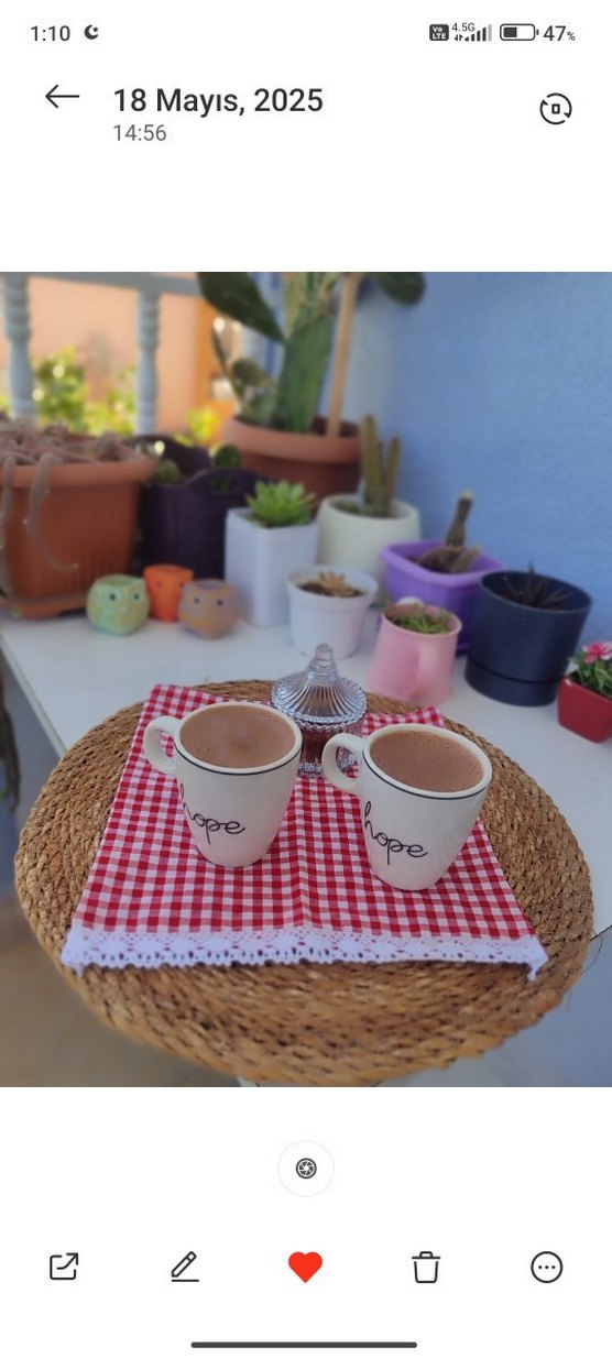 sunum peçetesi pötikare desen - Görsel 3