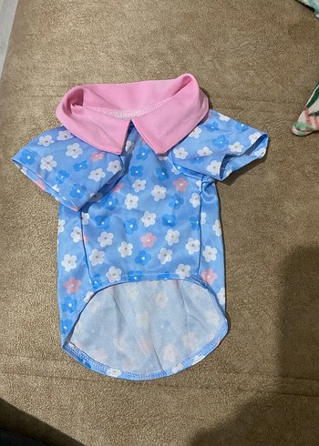 Kedi kıyafeti - Görsel 2