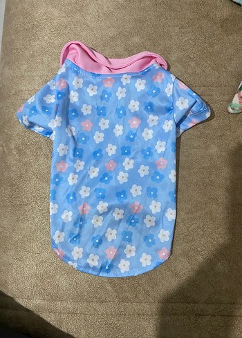 Kedi kıyafeti - Görsel 3